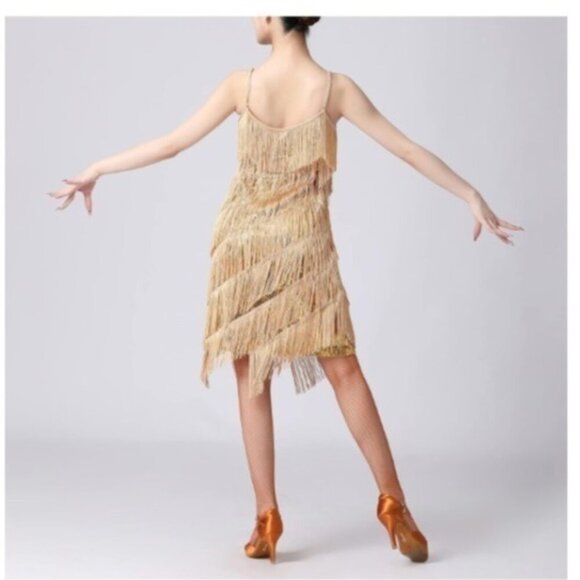 Women Sequins Fringe Dress Flapper Latin Dance Costume Size Medium - Picture 3 of 10